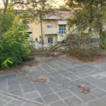Interrogazione verde pubblico quartiere Giandritto e report fotografico_Pagina_6